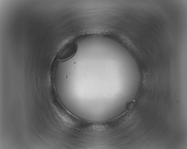 X0000067930636200604201457