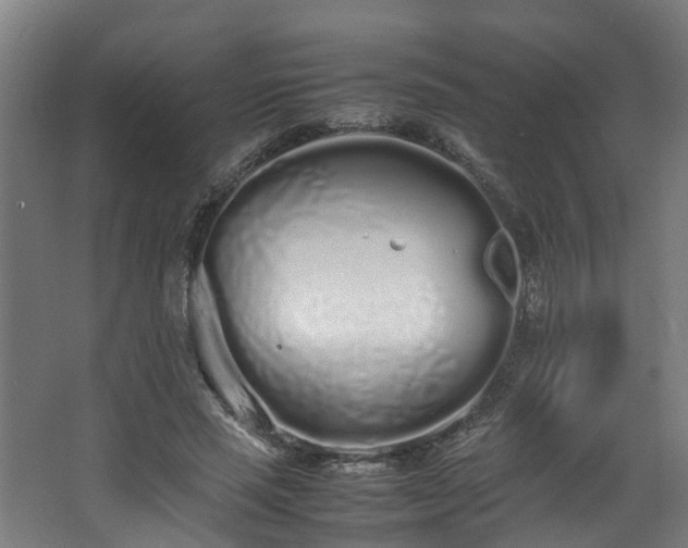 X0000067930637200604201457