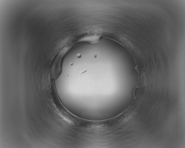 X0000067930638200604201457