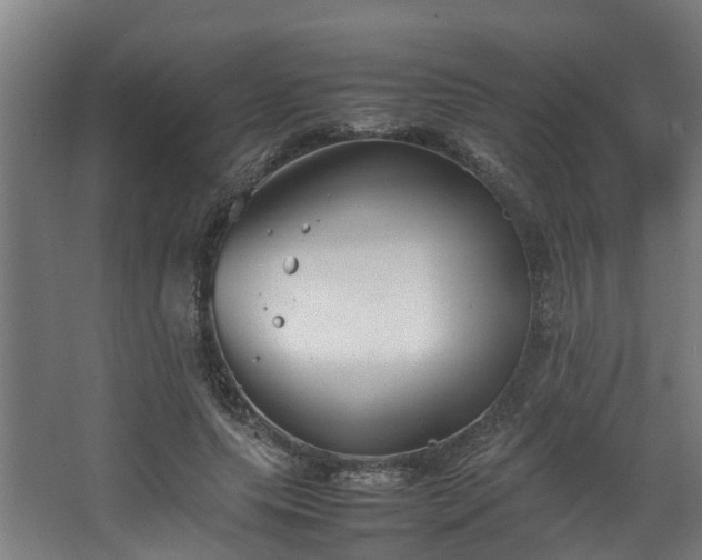 X0000067930639200604201457