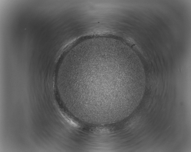 X0000067930640200604201457