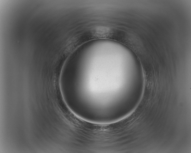 X0000067930647200604201457