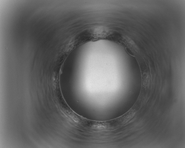 X0000067930655200604201457