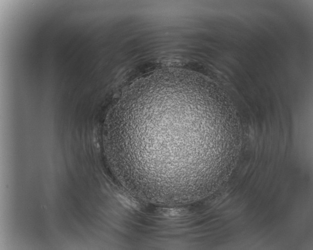 X0000067930663200604201457