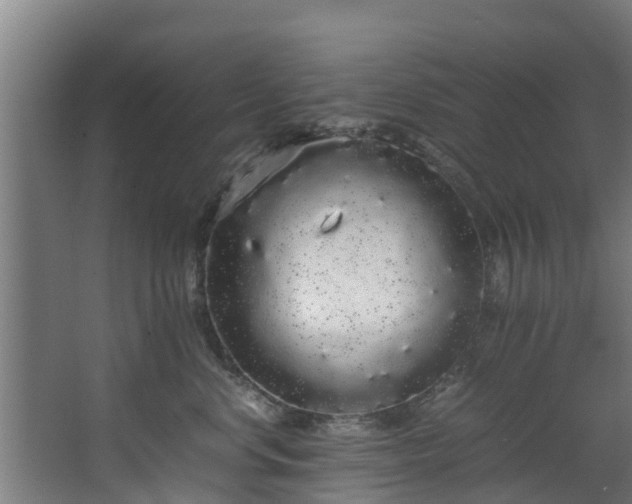 X0000067930668200604201458