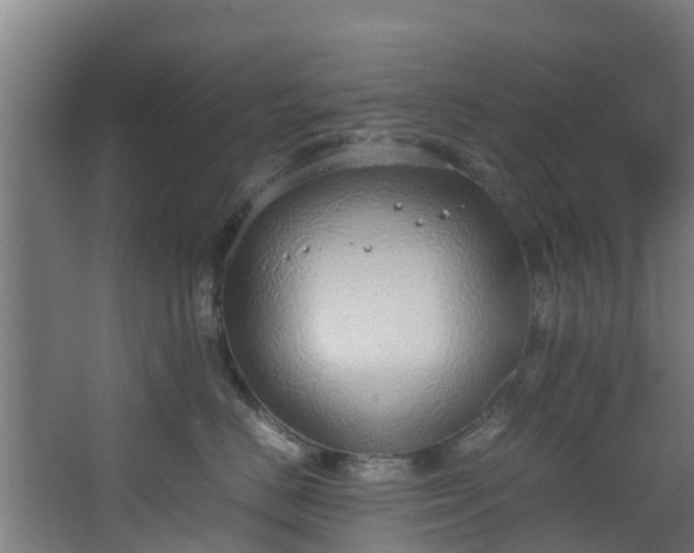 X0000067930670200604201458