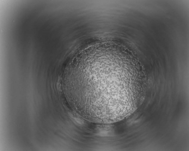 X0000067930671200604201458