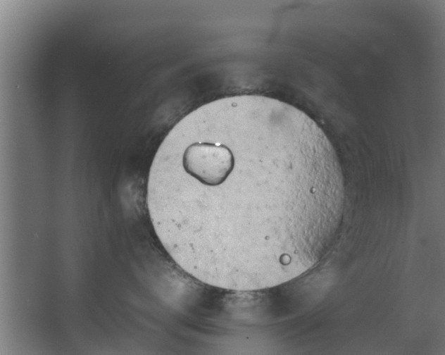 X0000067930672200604201458