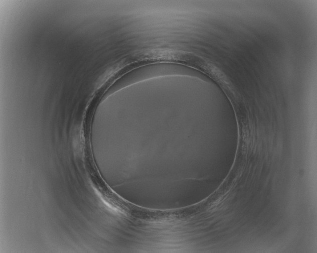 X0000067930674200604201457