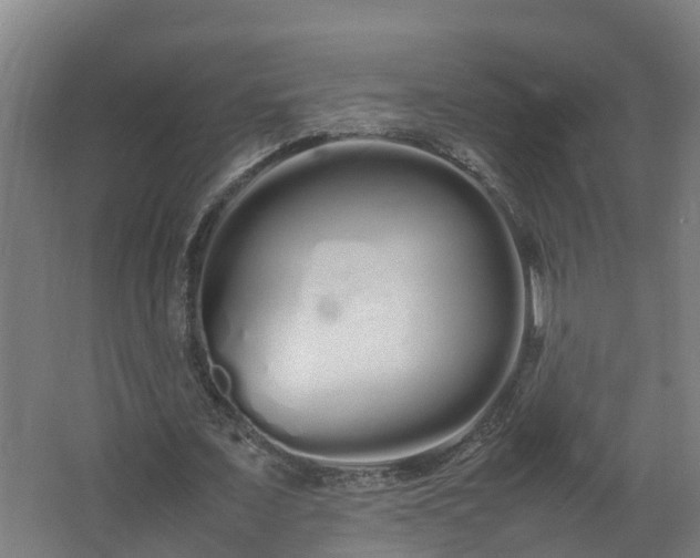 X0000067930675200604201457