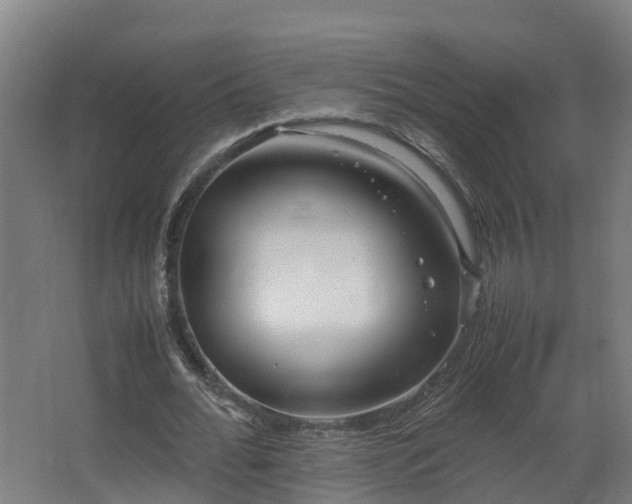 X0000067930676200604201457