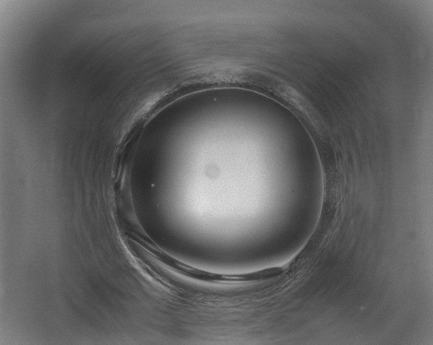 X0000067930677200604201457