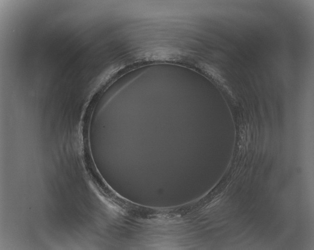 X0000067930678200604201457