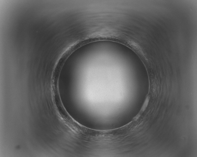 X0000067930680200604201457