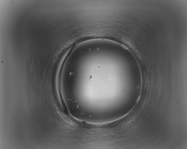 X0000067930681200604201457