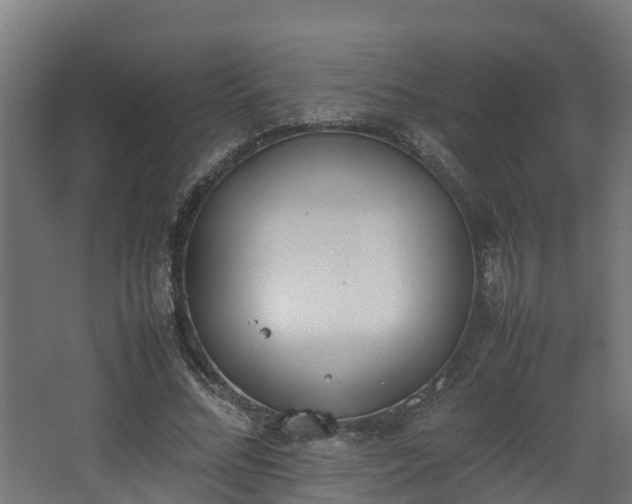 X0000067930684200604201457