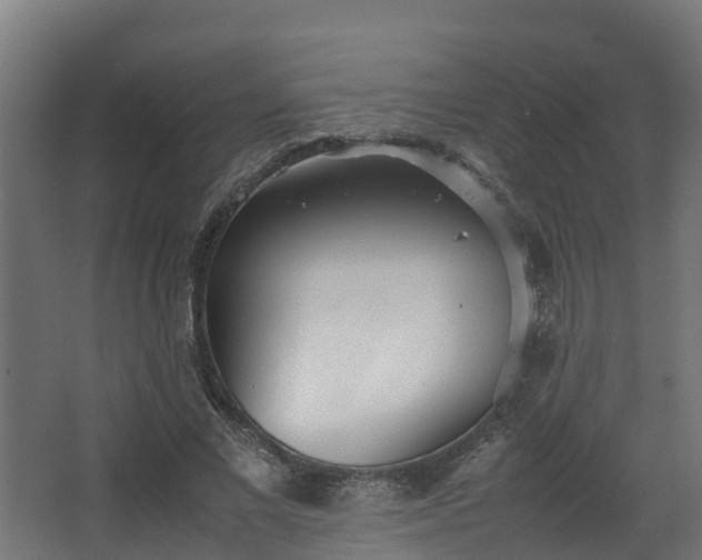 X0000067930685200604201457