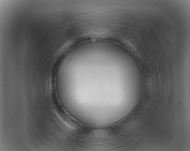 X0000067930686200604201457