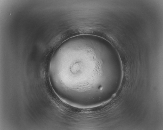 X0000067930687200604201457