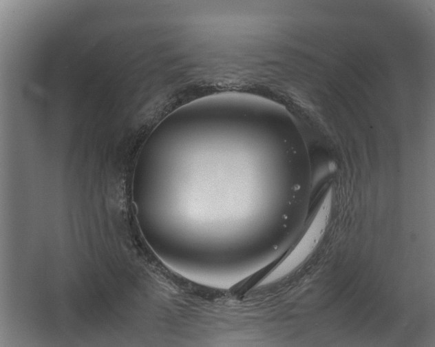 X0000067930689200604201457