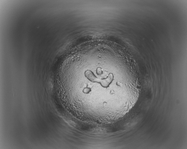 X0000067930691200604201456