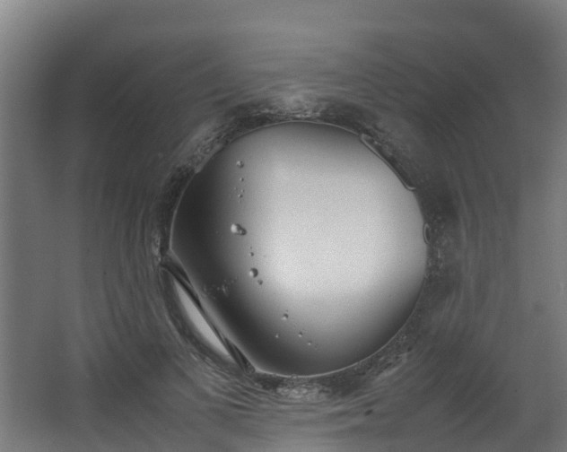 X0000067930693200604201456