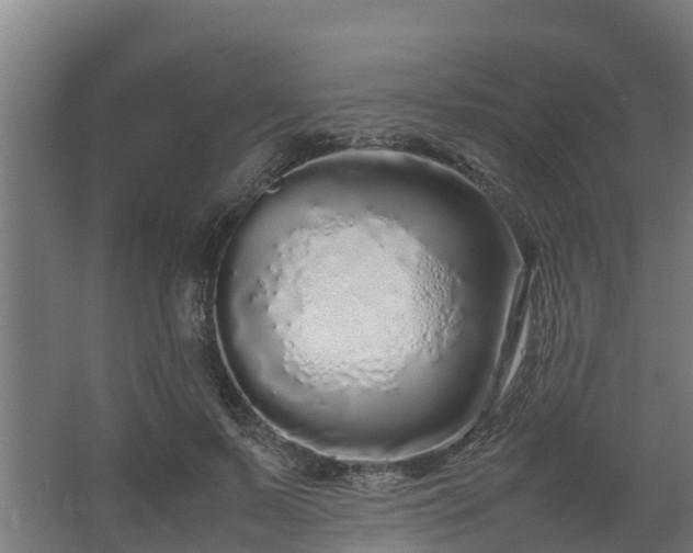 X0000067930695200604201456