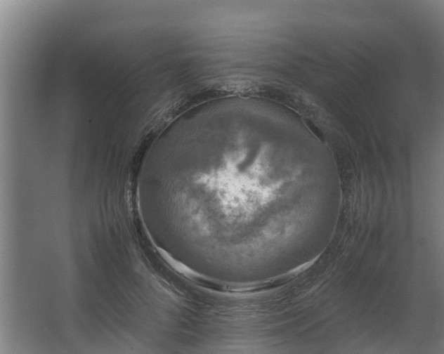 X0000067930696200604201456