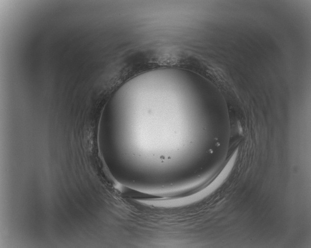 X0000067930697200604201456