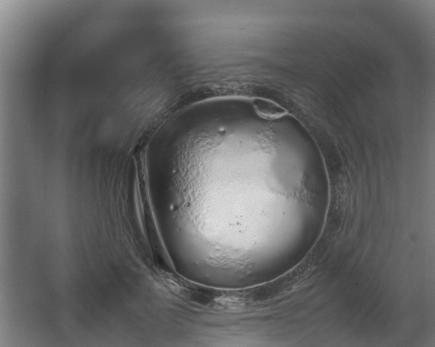 X0000067930699200604201456