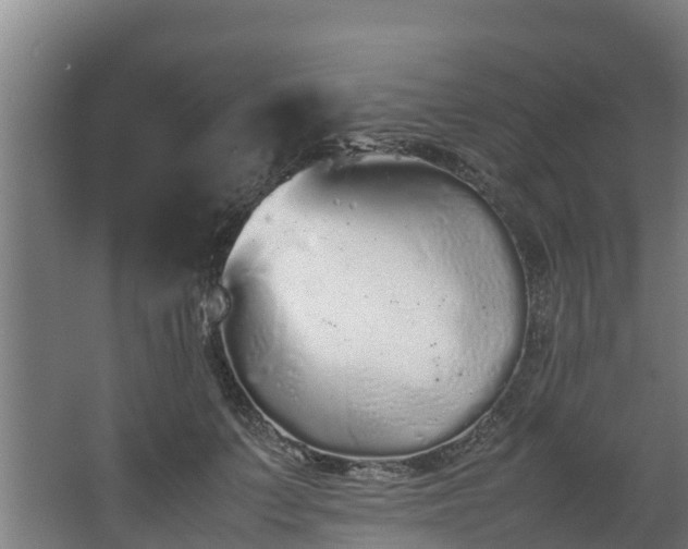 X0000067930703200604201456