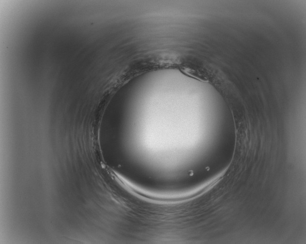 X0000067930704200604201456