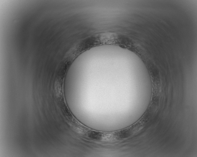 X0000067930705200604201456