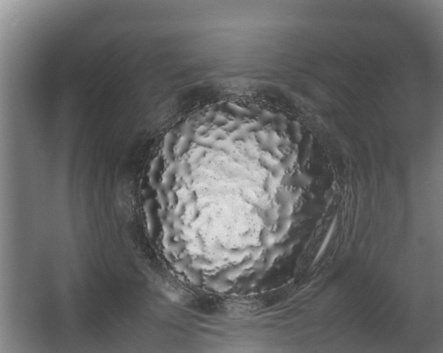 X0000067930707200604201456