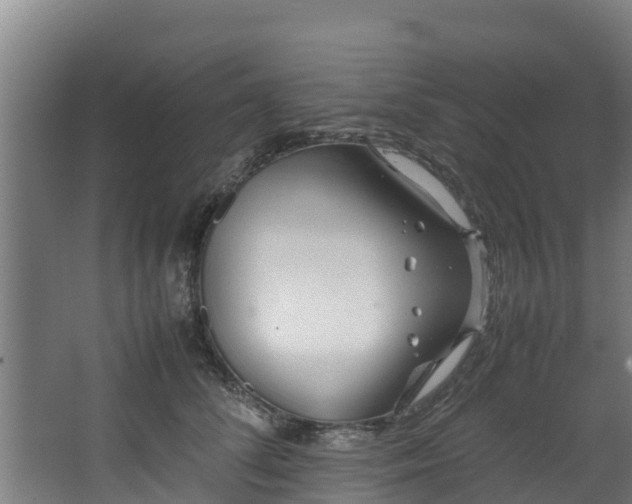 X0000067930708200604201456