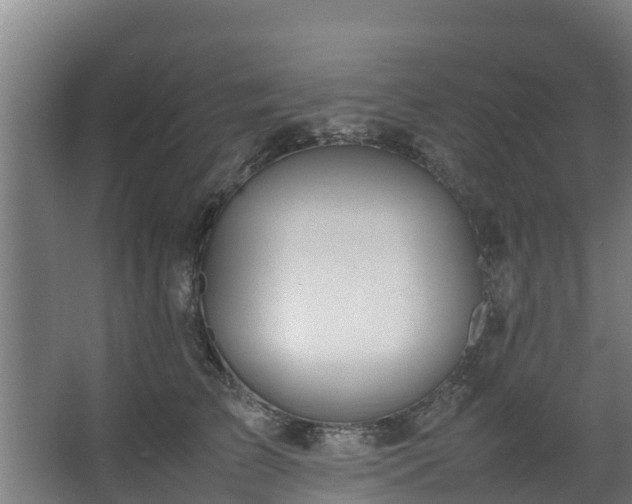 X0000067930709200604201456