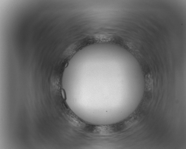 X0000067930713200604201456