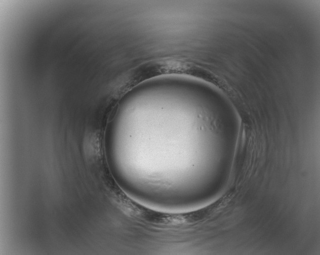 X0000067930715200604201456