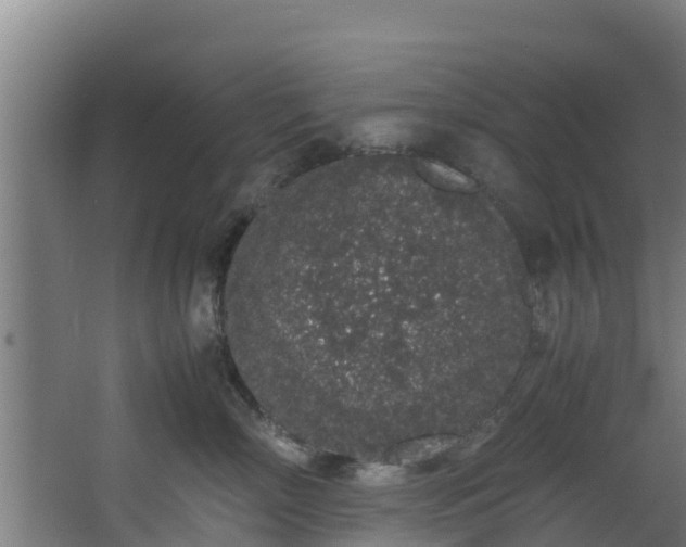 X0000067930718200604201456