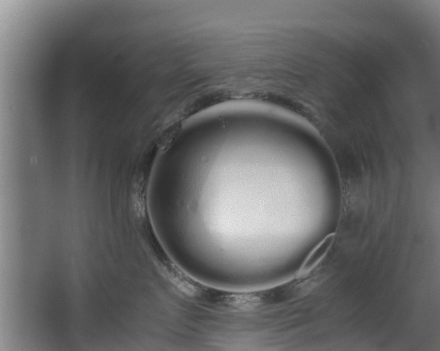 X0000067930719200604201456