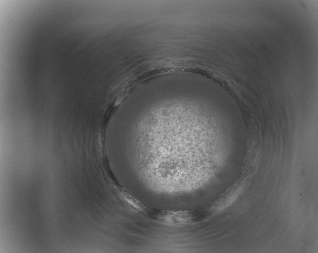 X0000067930720200604201456