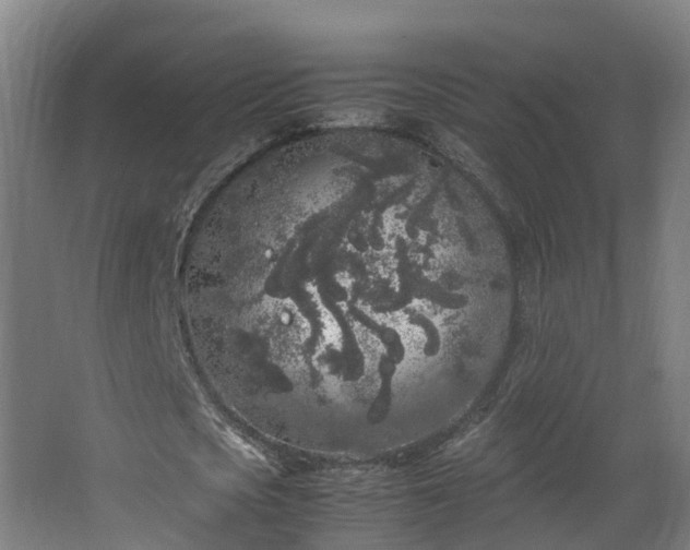 X0000067930721200604201455