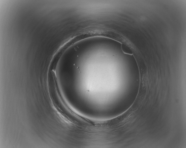 X0000067930722200604201455