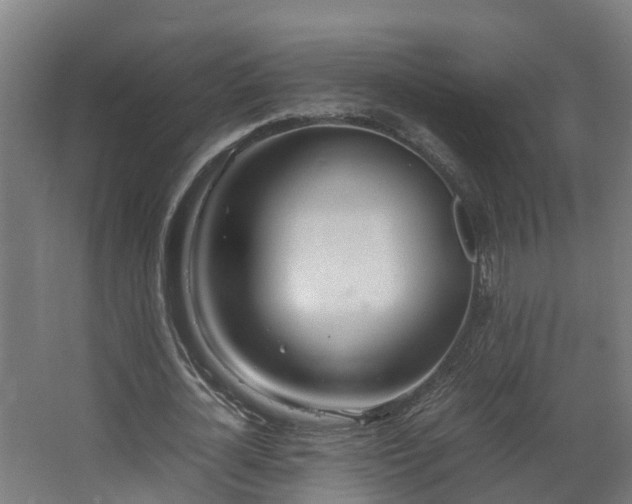 X0000067930724200604201455