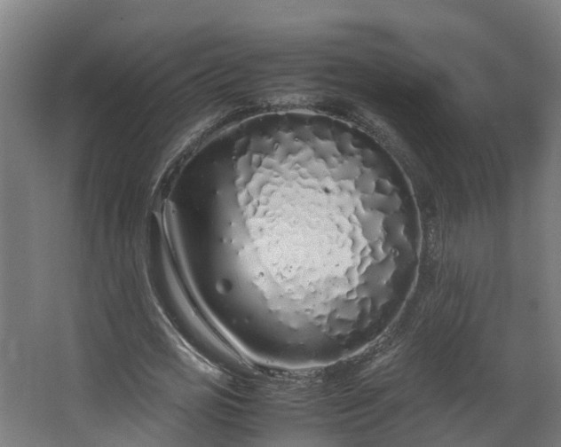 X0000067930725200604201455