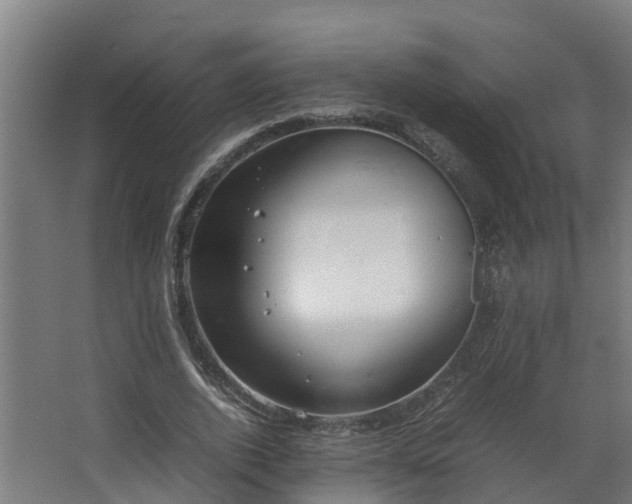 X0000067930728200604201455