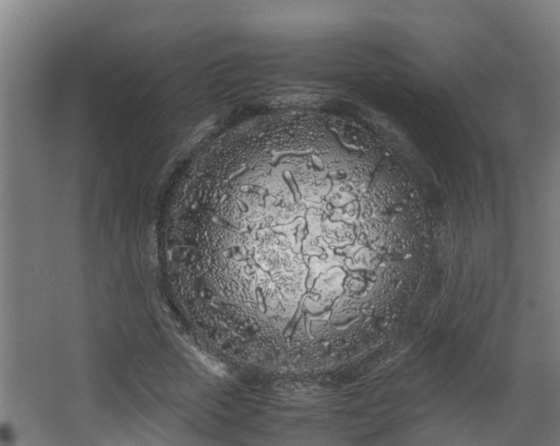 X0000067930729200604201455