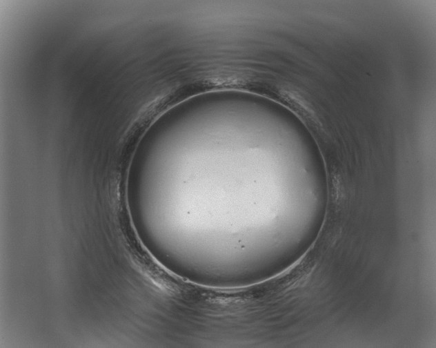 X0000067930733200604201455