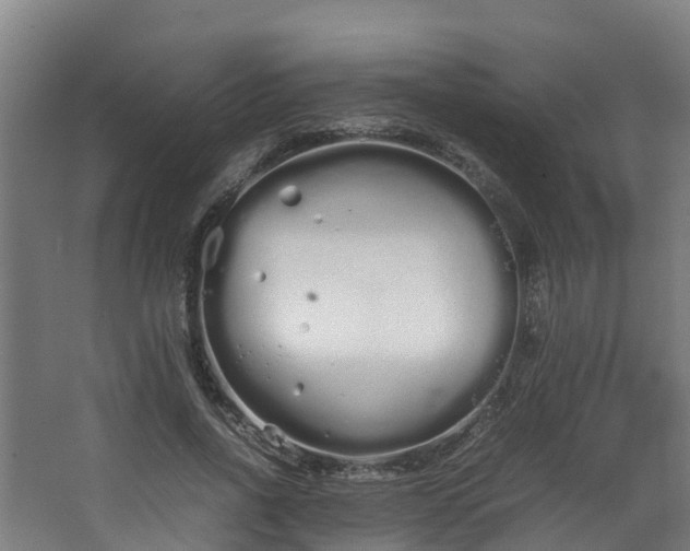 X0000067930734200604201455