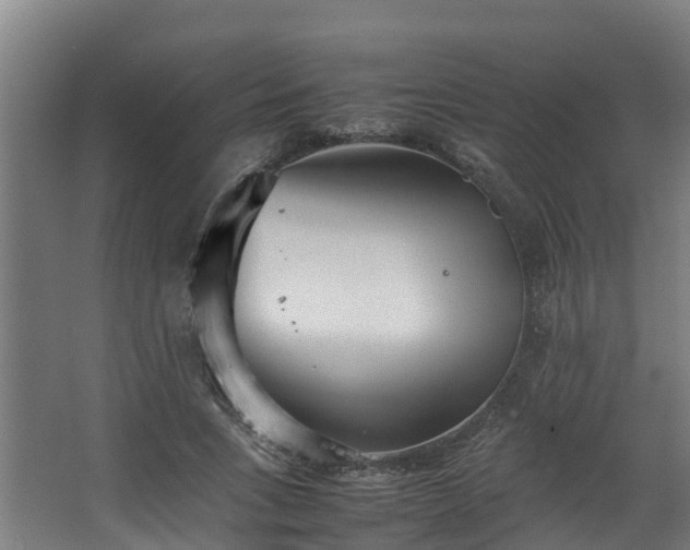 X0000067930735200604201455